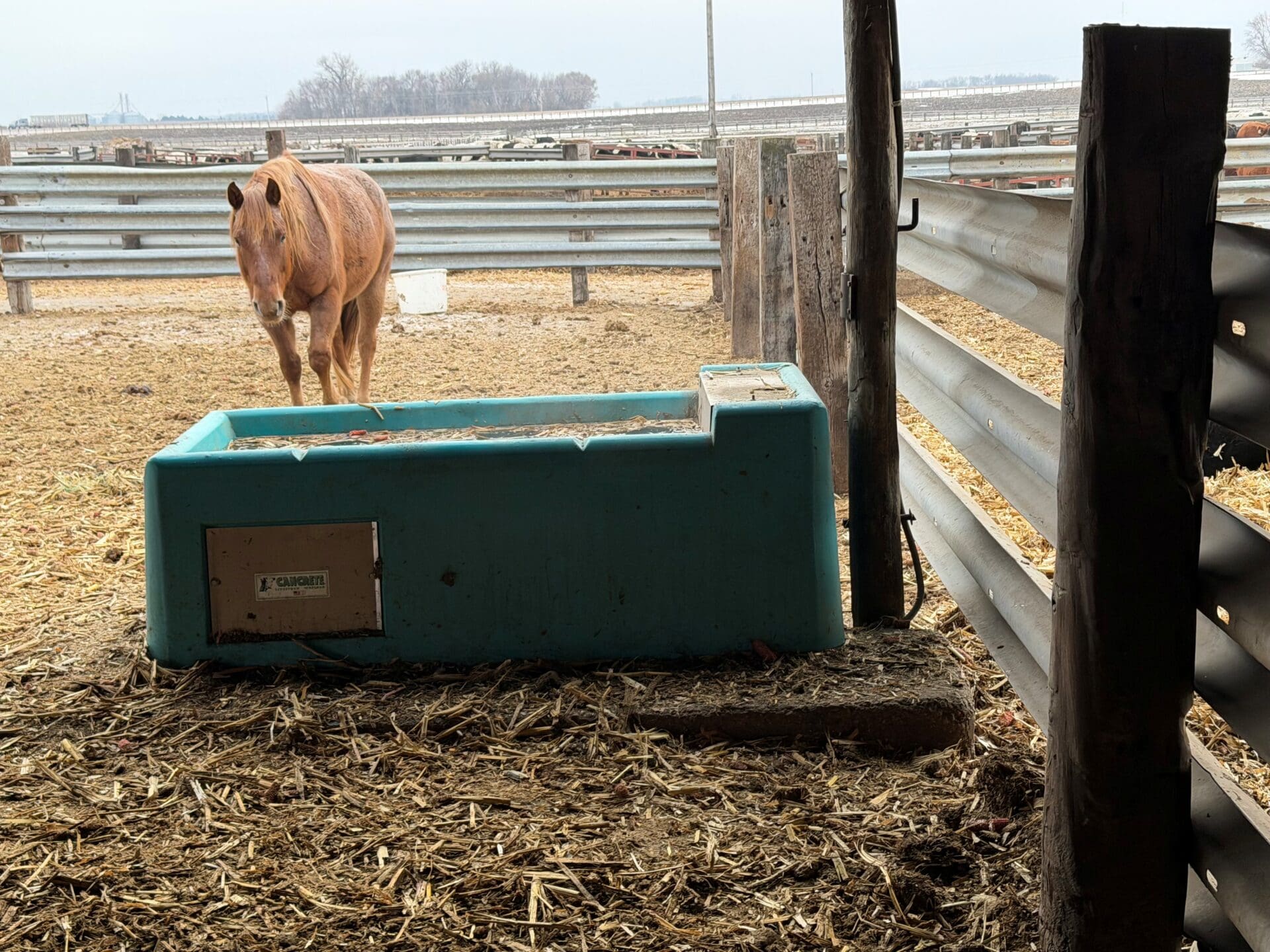 Energy Free watering options