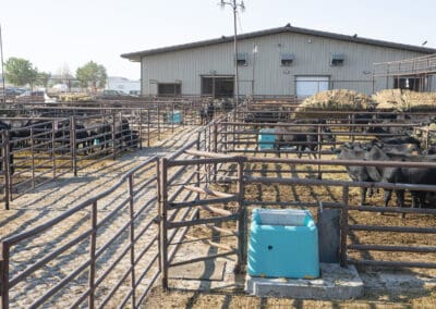 Cancrete tank with livestock in the background