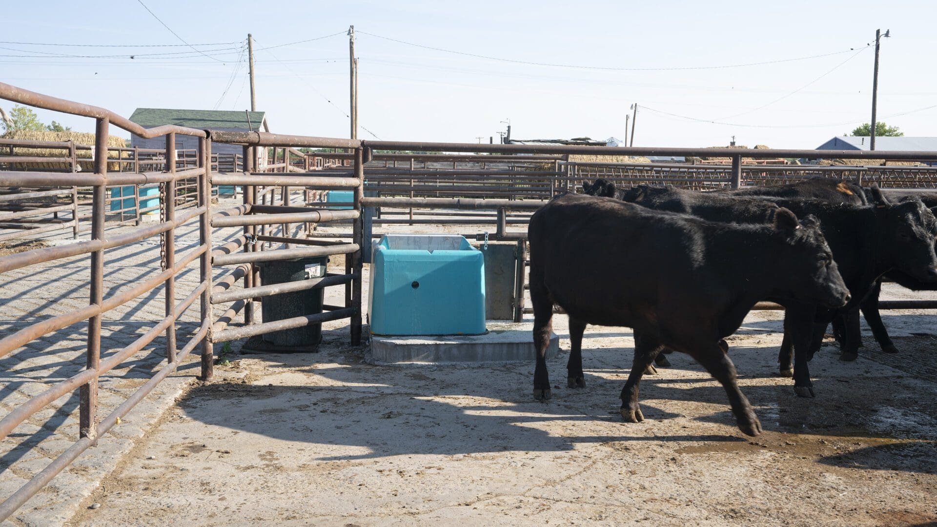 Electric heat and continuous flow